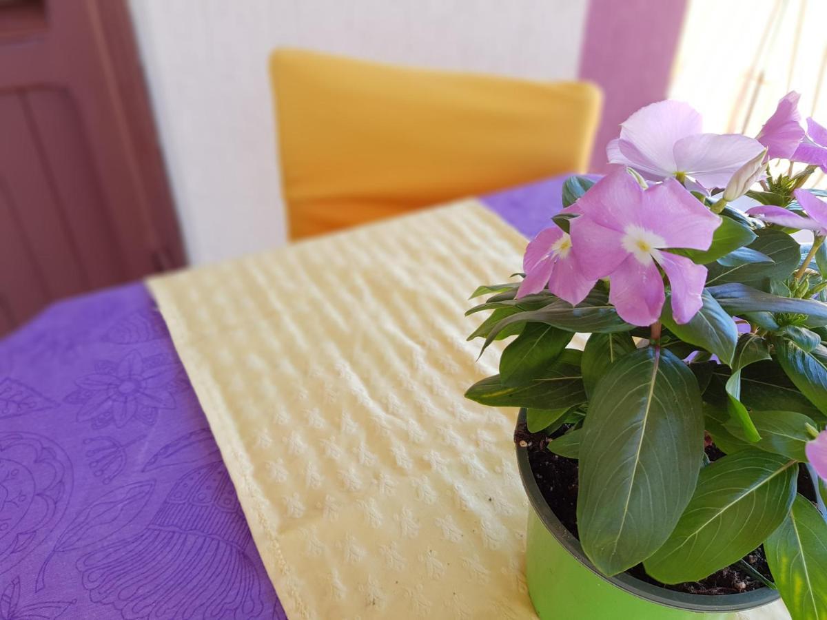 Apartament Maison Jolie Capaci Zewnętrze zdjęcie